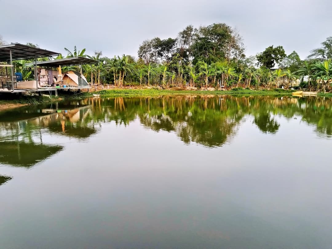 Thailand Photo (60) Thailand Photo (60) - Digital product available for instant download from itsamikkie