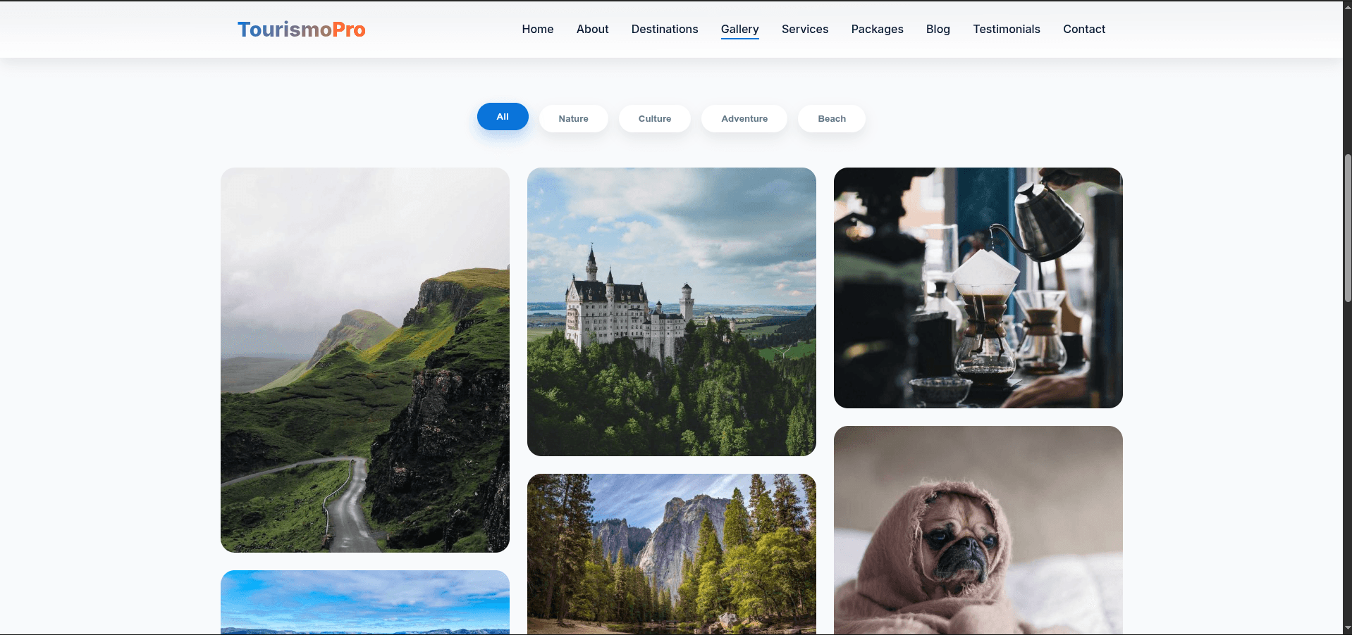 TourismPro TourismPro - Digital product available for instant download from shezansaghir3's Store